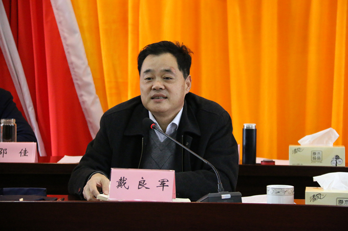 集團(tuán)黨委委員、副總經(jīng)理、總工程師戴良軍發(fā)表講話